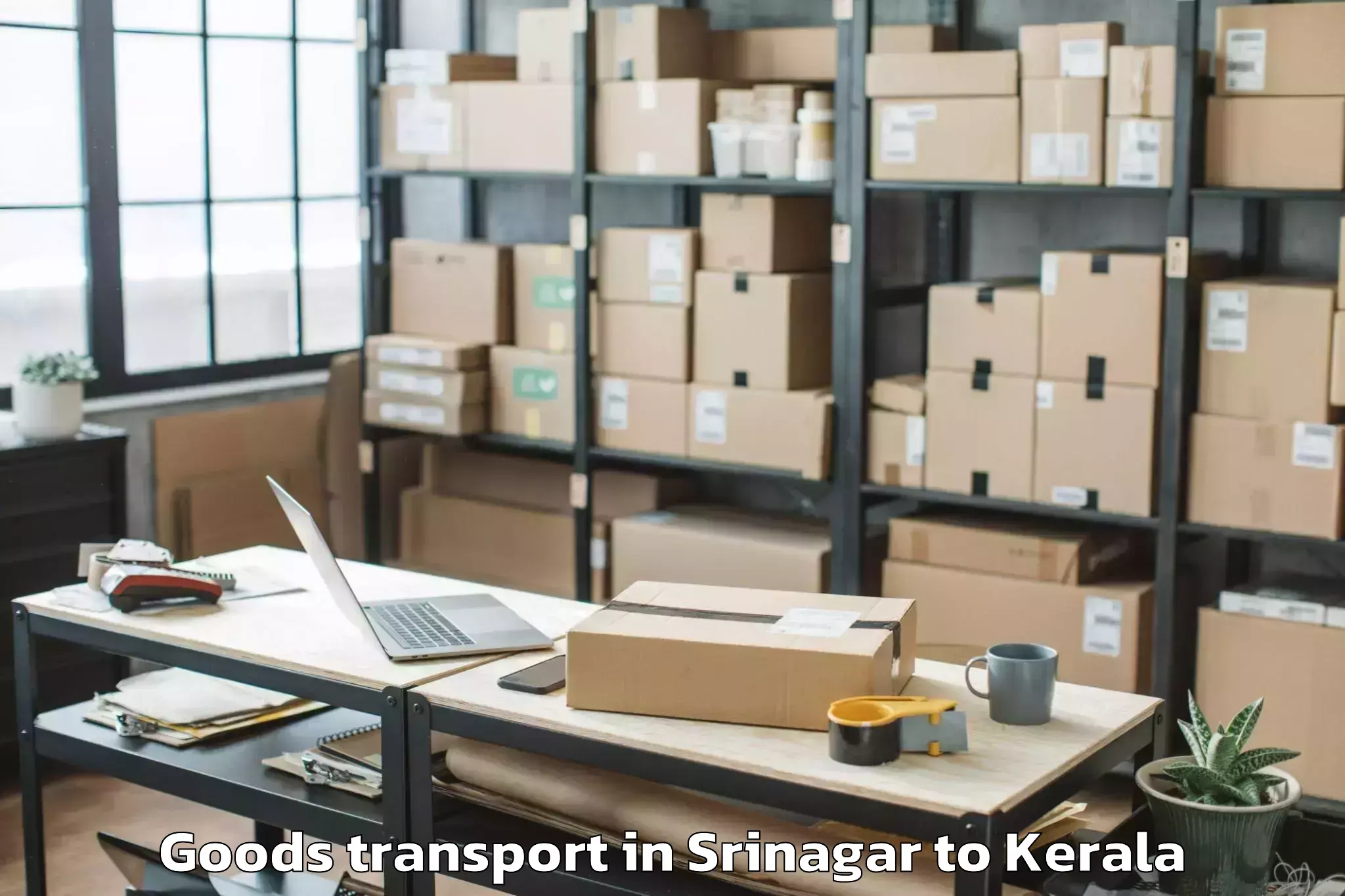 Professional Srinagar to Nedumangad Goods Transport